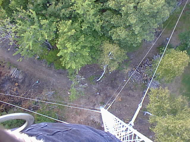 Looking Down