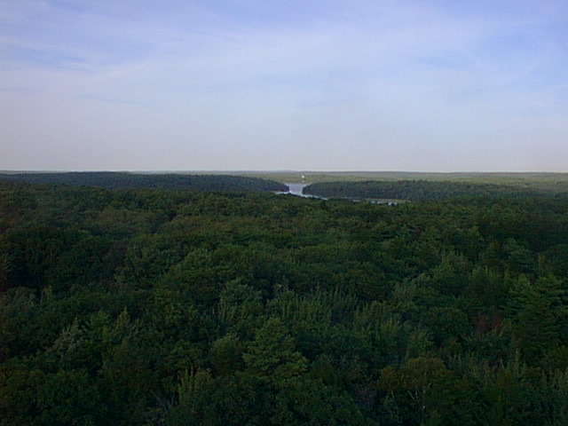 Looking East