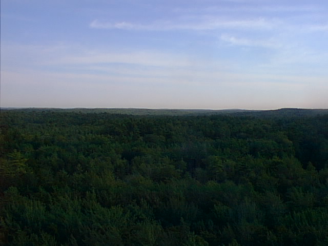 Looking South