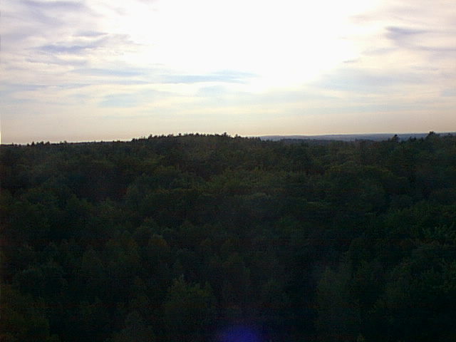 Looking West